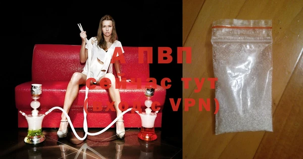 гашик Баксан