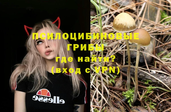 дурь Белоозёрский